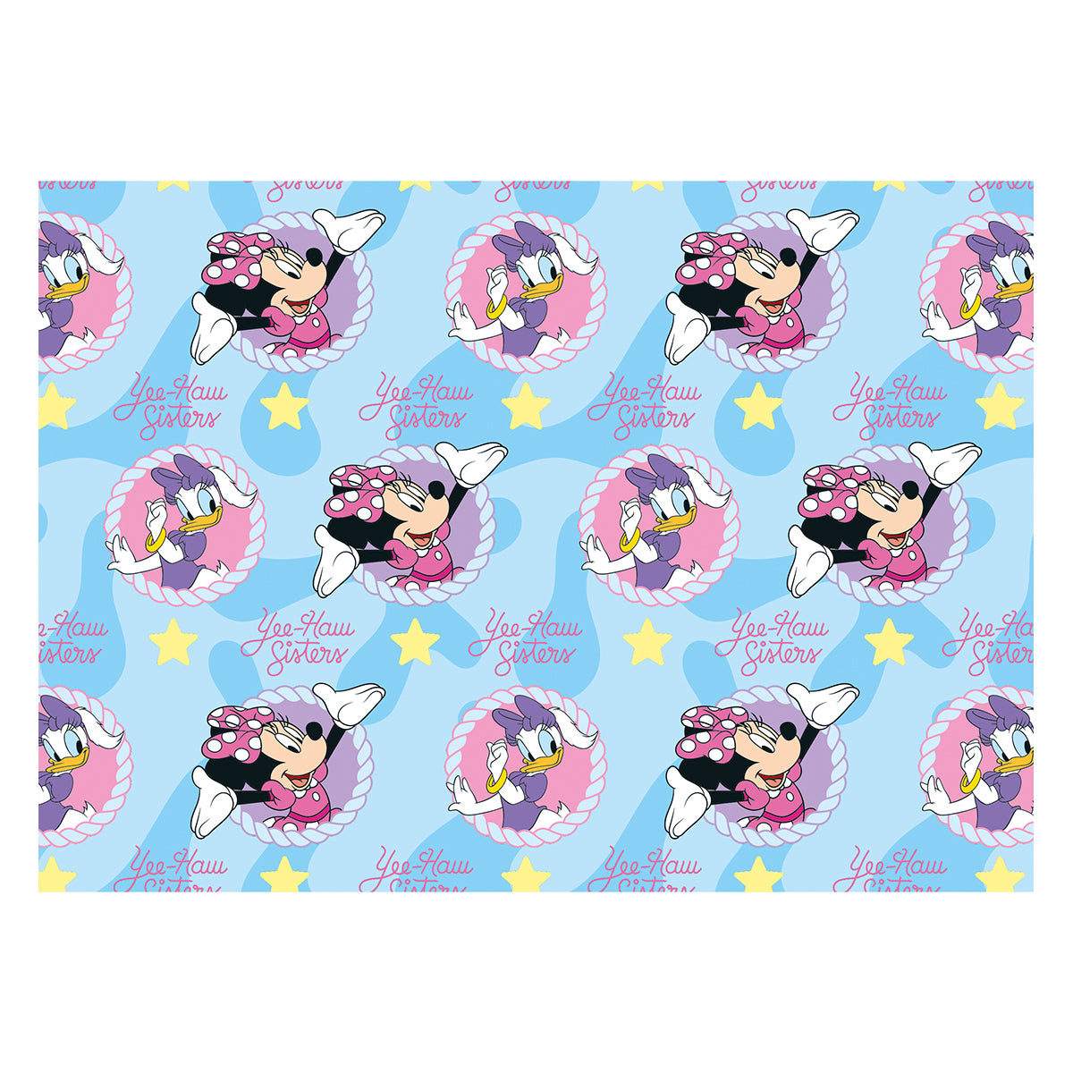 6160021221 - PMED MINNIE DUO ESTELAR