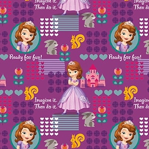 5160021870 - PMED SOFIA IMAGINACION