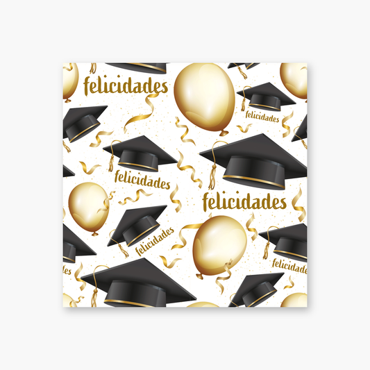 6160025193 - PMED FIESTA DE GRADUACION