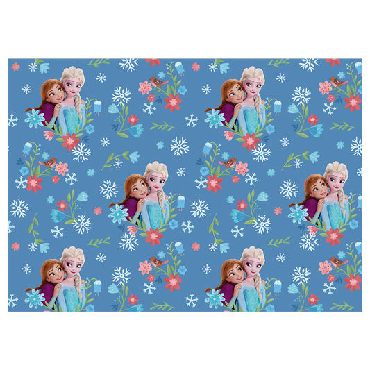 5160021873 - PMED FROZEN ABRAZO DE HERMANA