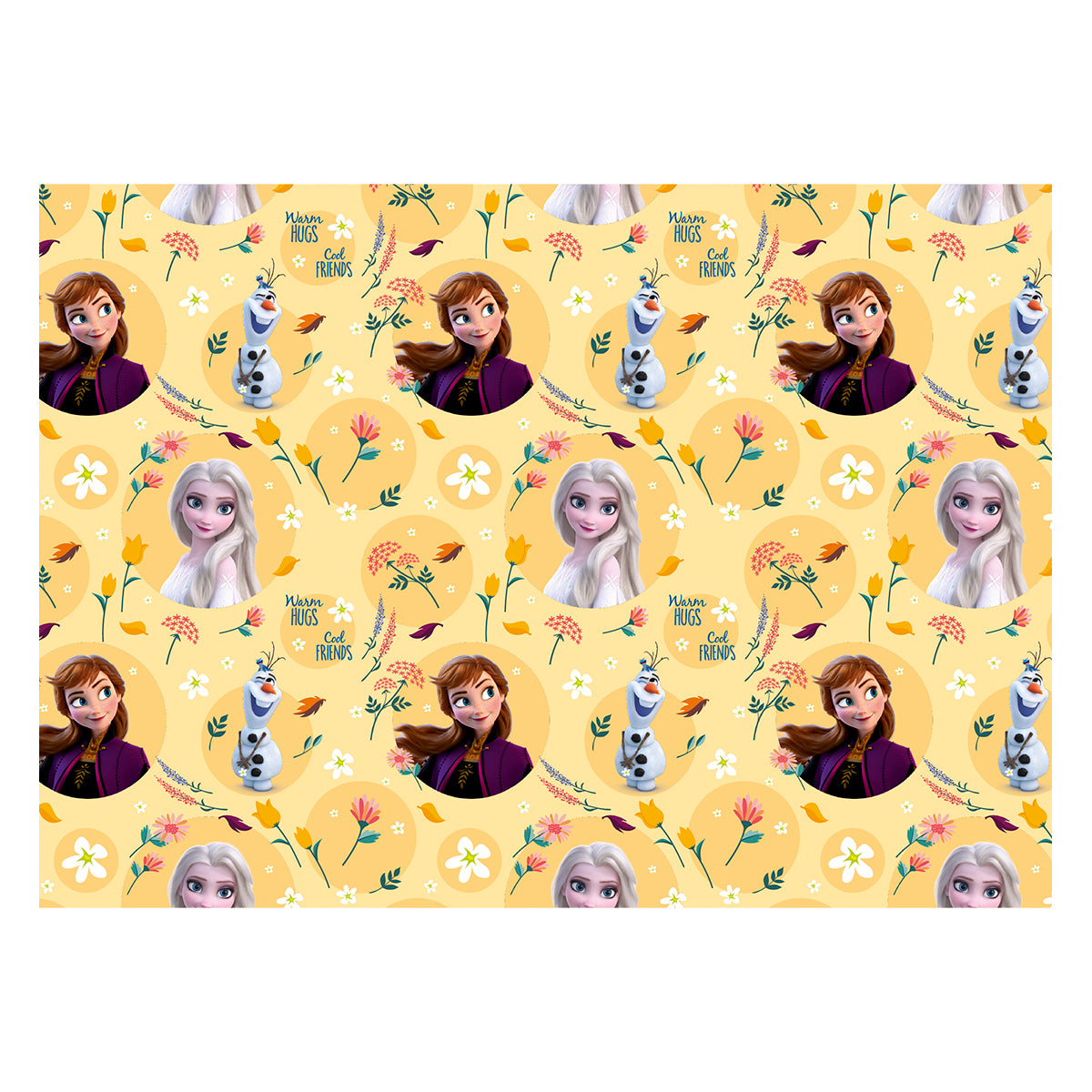 6160021861 - PMED FROZEN MAGIA ENTRE FLORES