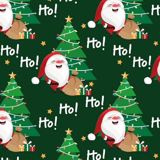 6560025312 - PMED SANTA ALEGRE NAVIDAD