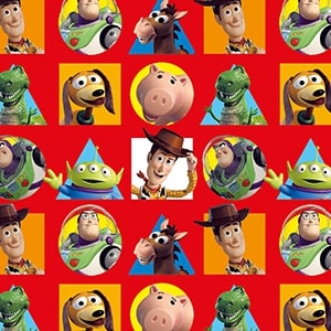 5160021034 - PMED TOY STORY AMIGOS