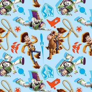 5160021035 - PMED TOY STORY COMPAÑEROS