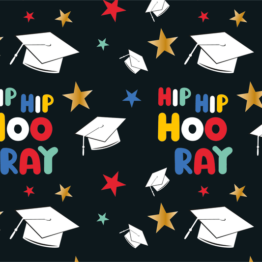6460025142 - PMED FESTEJO DE GRADUACION