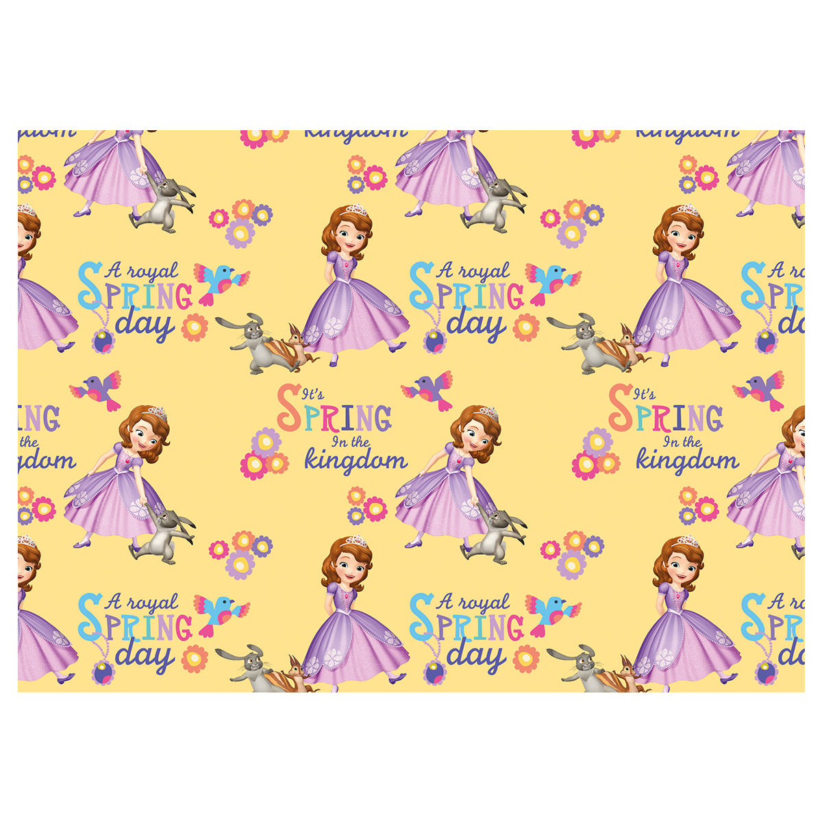 5160021875 - PMED SOFIA FLORES DE PRINCESA